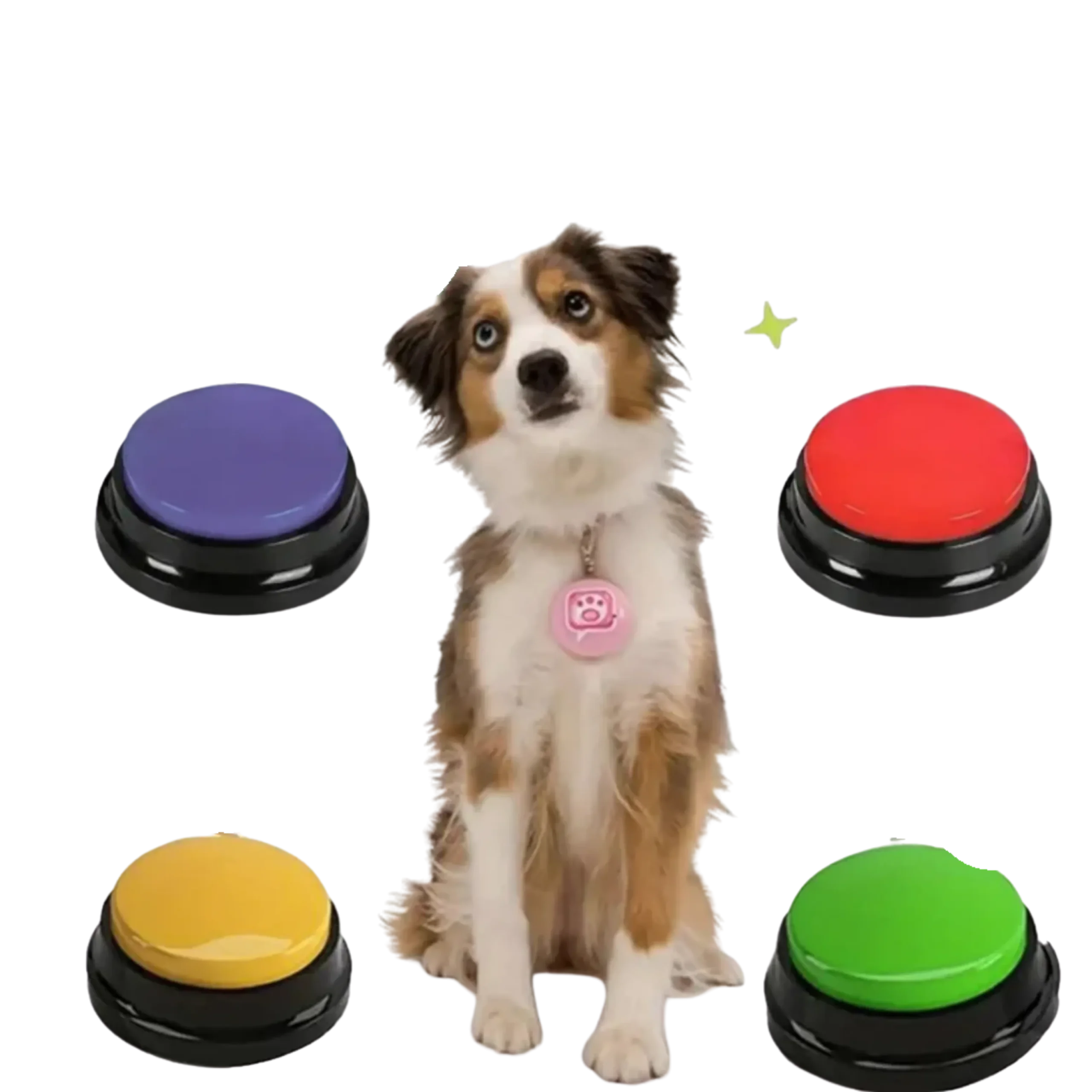 Pet Speaking Buttons